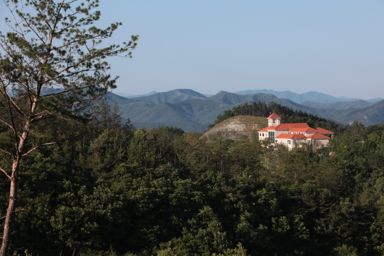 게스트하우스 뒷산 전경